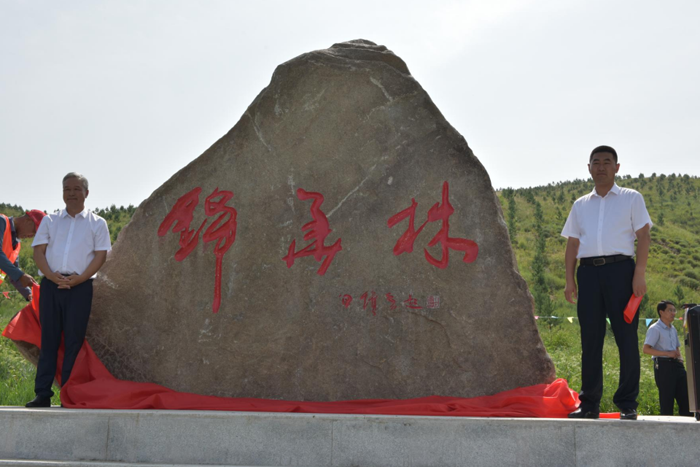 5蘇總和新林鎮(zhèn)黨委書記趙慧武為“錦華林”碑揭幕.png