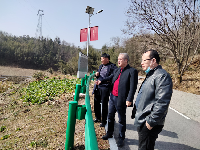 1，蘇總視察金寨有機(jī)靈芝種植基地.jpg