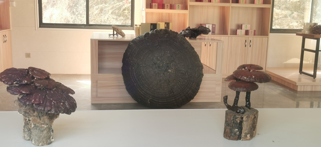 7，大灣種植基地產(chǎn)品展位.jpg