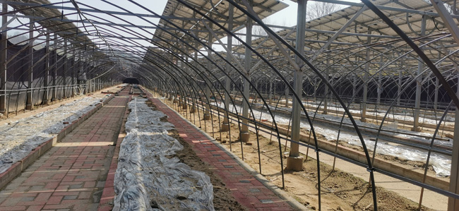 14，飛機(jī)場(chǎng)種植基地大棚.jpg