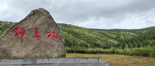 13，錦華林碑.jpg
