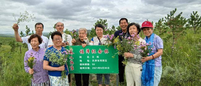 43、伙伴們種的樹已經(jīng)成林.jpg